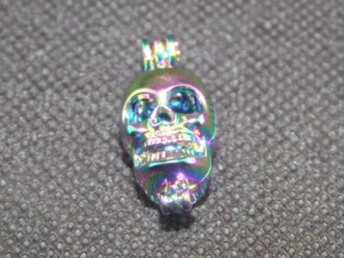 Rainbow Skull Cage